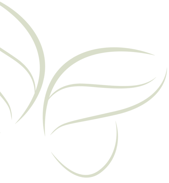 Logo CDE - Diagnósticos por imagem